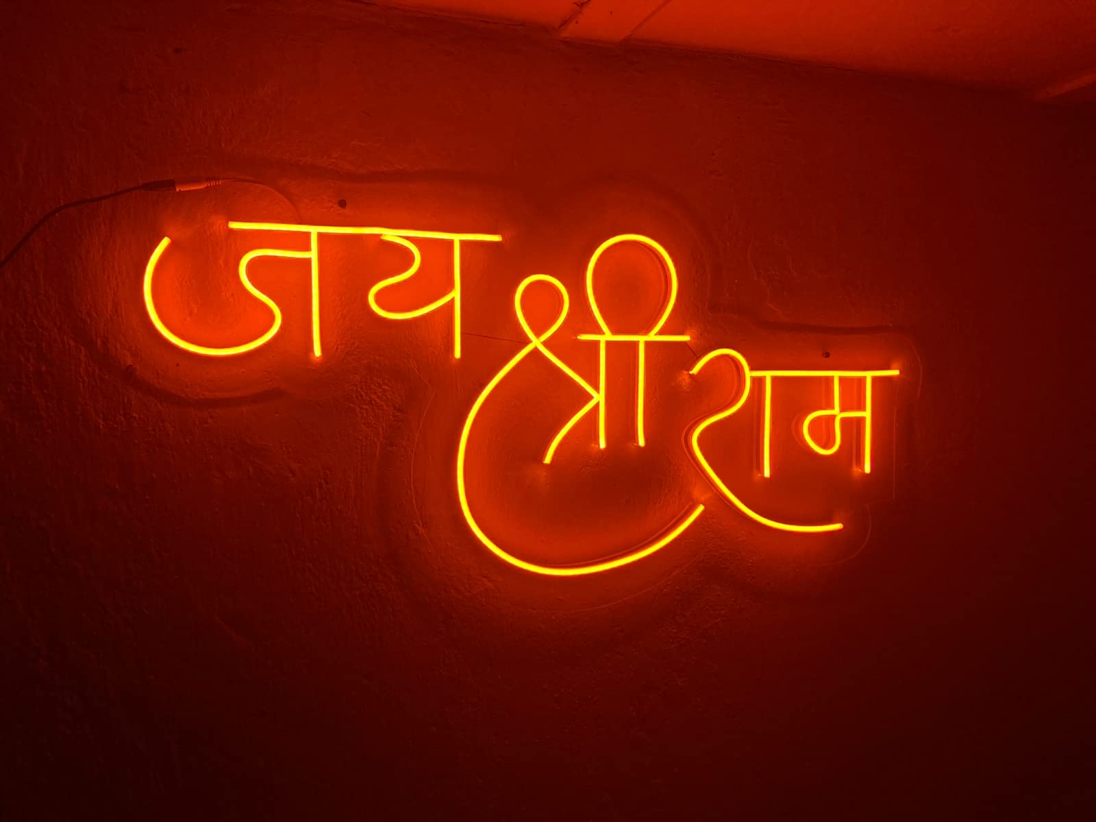 Neon LED Glass Tube Light Sign (8x17 inch)