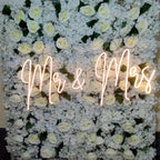 Neon LED Decor Light, Glass Tube Sign (10 x 24 inches)