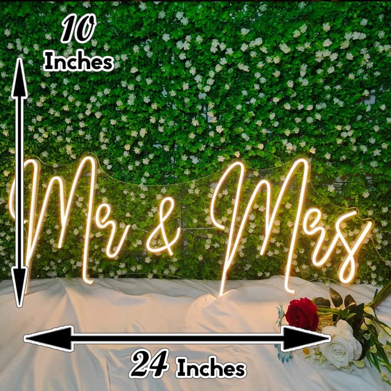 Neon LED Decor Light, Glass Tube Sign (10 x 24 inches)